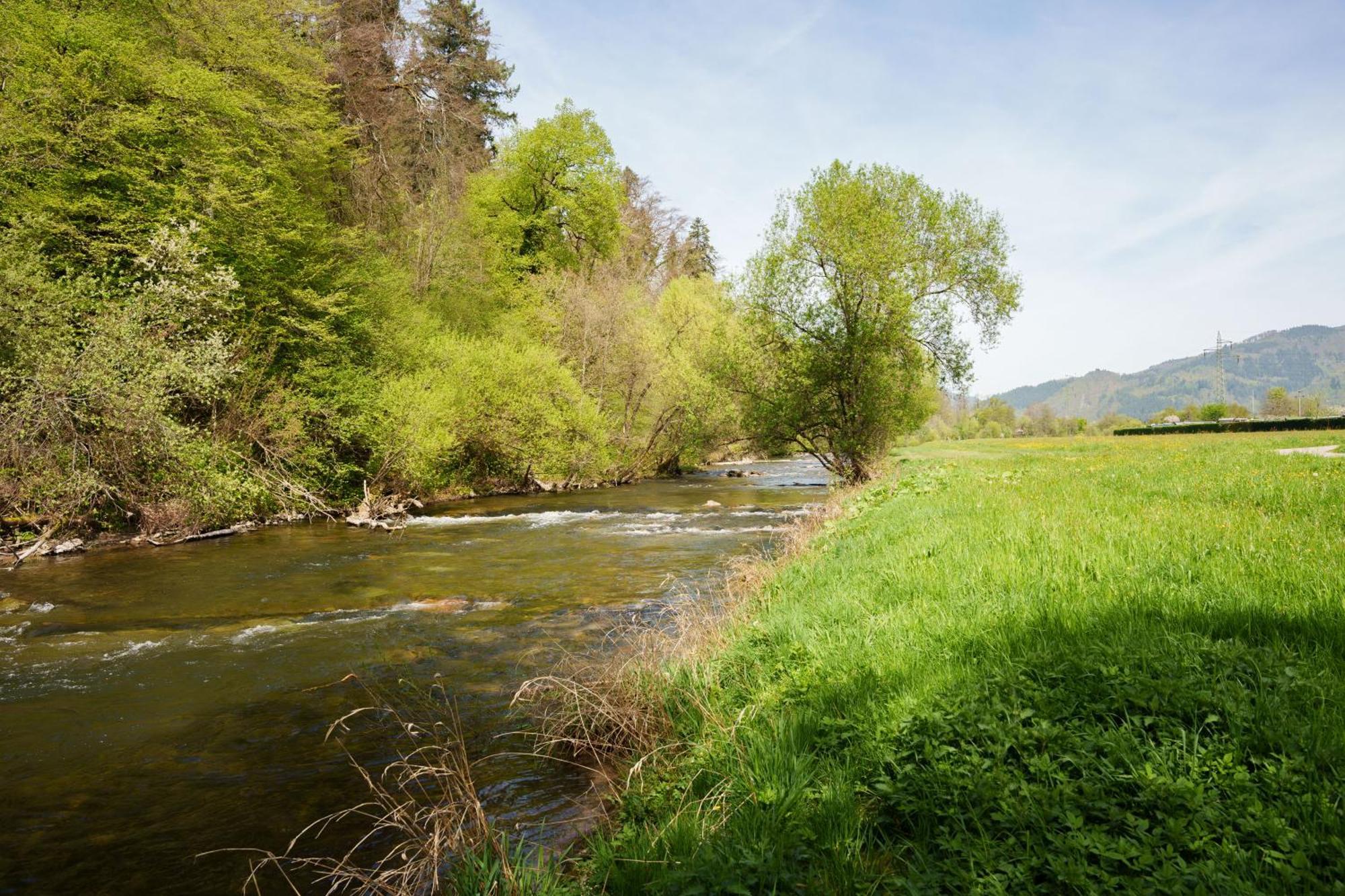 Ferienwohnung Alte Scheune Schopfheim Bagian luar foto